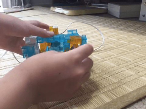 コンパクト財布
